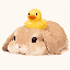 Yellow duck resting on a capybara