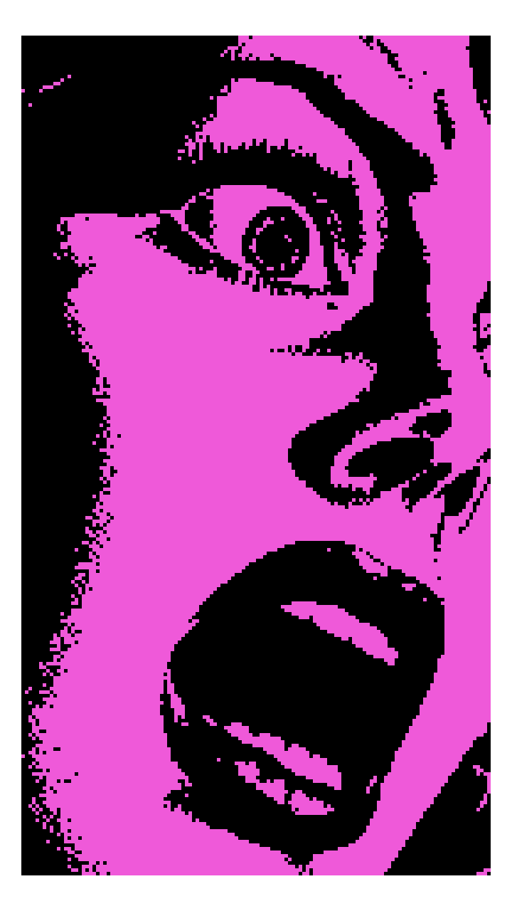 High-contrast pink and black portrait